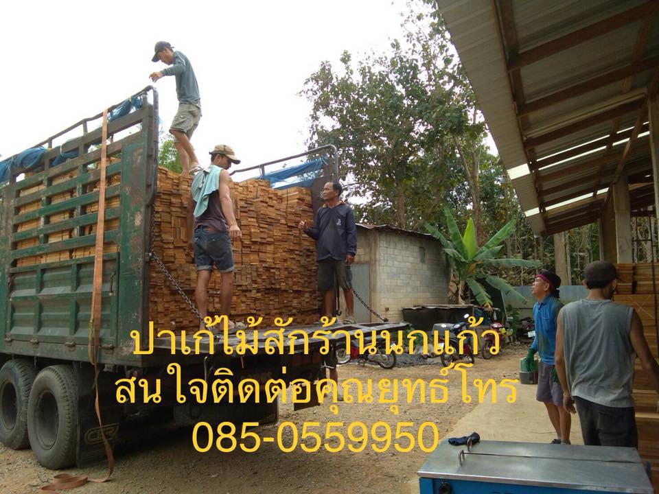 ไม้สักปาเก้ร้านนกแก้ว ไม้สักปูพื้นจากโรงไม้เมืองแพร่ รับประกันคุณภาพด้วยประสบการณ์ขายมากกว่า่ 30 ปี