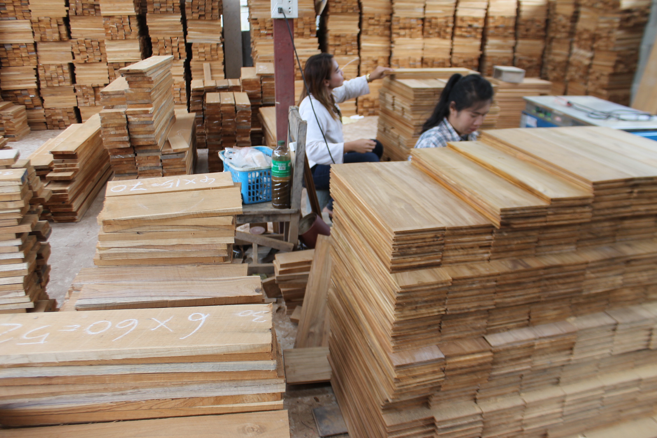 กว่าจะเป็นพื้นไม้สักร้านนกแก้ว ผ่านการคัดทุกแผ่น ขายราคาจากโรงงาน ส่งตรงถึงมือคุณ