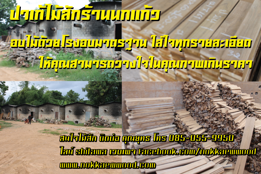 ไม้สักปาเก้ร้านนกแก้ว